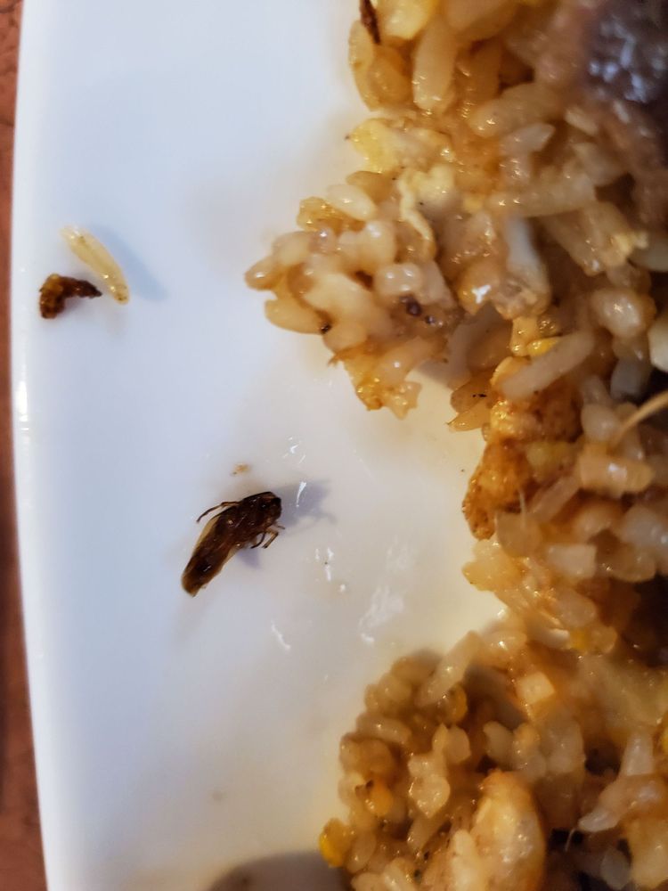 Phó Só 8 Phó Só 8