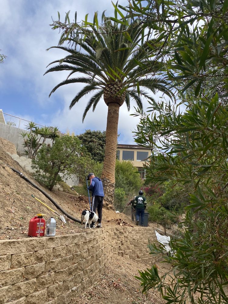 Gaspar’s Tree Service
