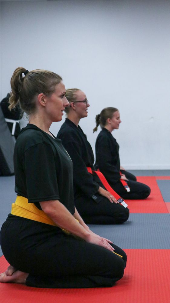 Shorin Ryu Karate Do International