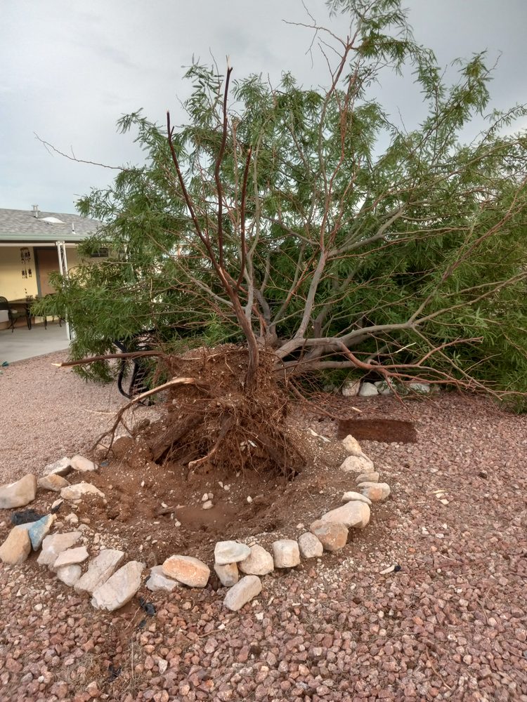Arizona Yard Services