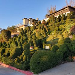 Harper's Topiary Garden gift card