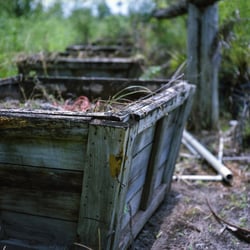 Biosphere Nursery - 14 Photos - Nurseries & Gardening - 14908 Tilden Rd