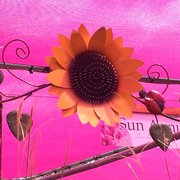 Gardens of Babylon - 64 Photos & 28 Reviews - Nurseries & Gardening