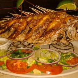 Cohiba Cuban Cuisine Order Food Online 213 Photos 215 Photo Of Cohiba Cuban Cuisine Chicago Il United States Pargo Grille