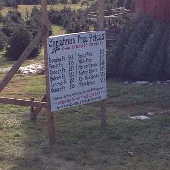 Davidson Tree Farm - 11 Photos - Nurseries & Gardening - 1101 Emory Photo of Davidson Tree Farm - Upperco, MD, United States. Price list 2014 - Davidson Tree Farm - 11 Photos - Nurseries & Gardening - 1101 Emory