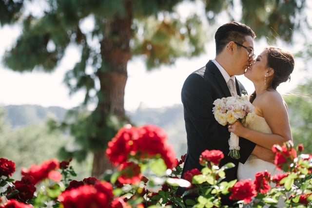 Pink Martini Events