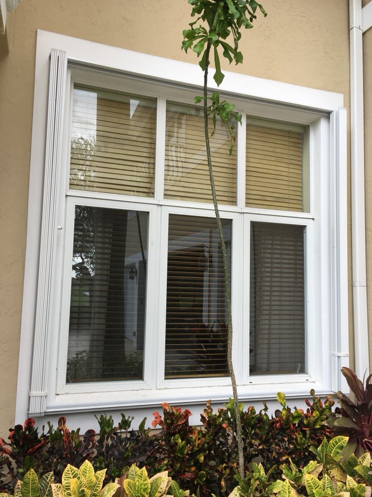 Lighthouse Pro Window Cleaning
