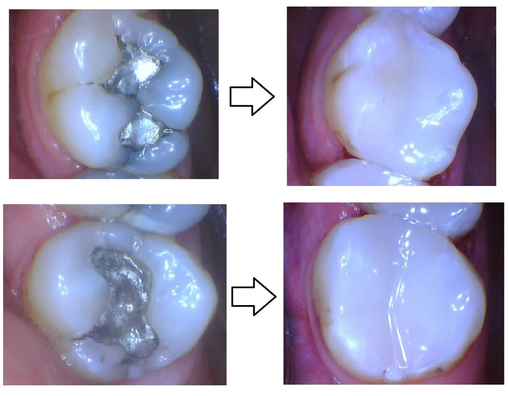image of business Mill Mountain Dentistry