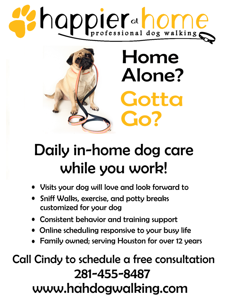 My Dog S Friend Professional Pet Care Services My Dog S Friend Professional Pet Care Services