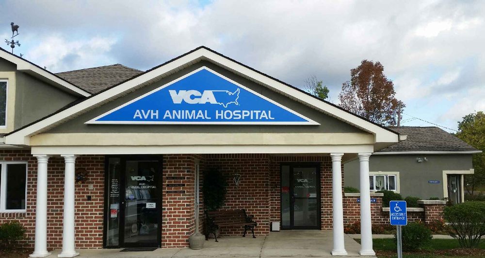VCA AVH Animal Hospital Veterinarians 1027 Blue Valley Dr, Pen