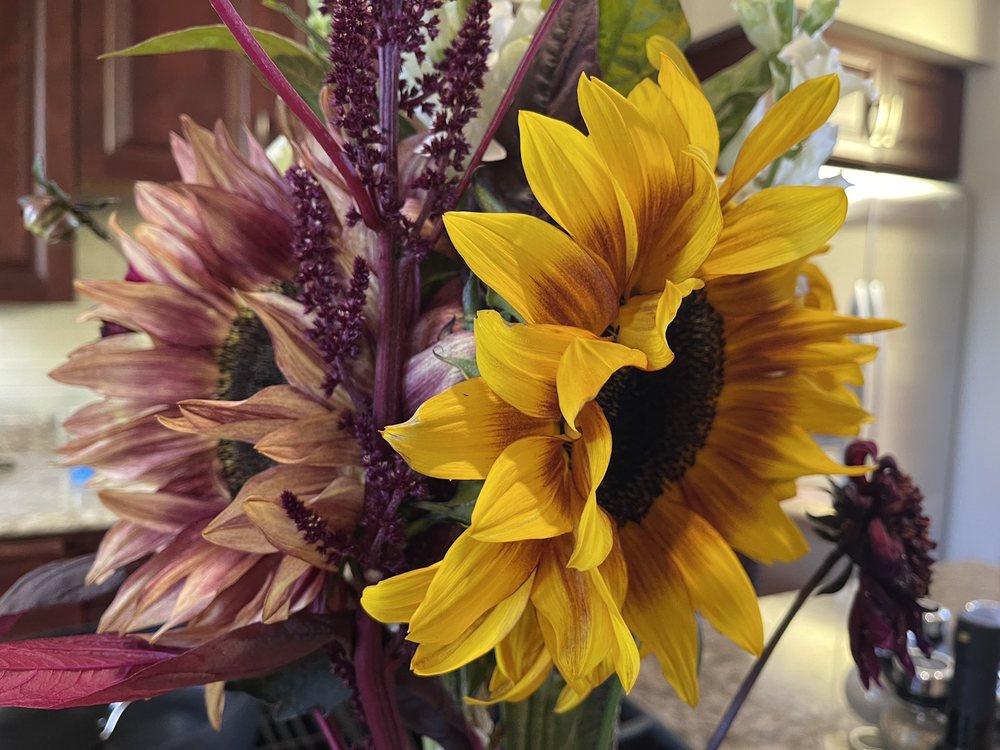 San Juan Island Farmers Market