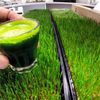 Best Cafes in Richmond