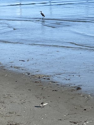 On the Coast Insurance Agency