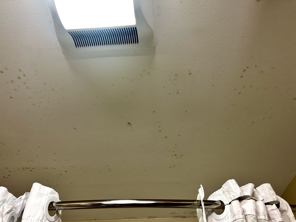 Comfort Suites Boone - University Area