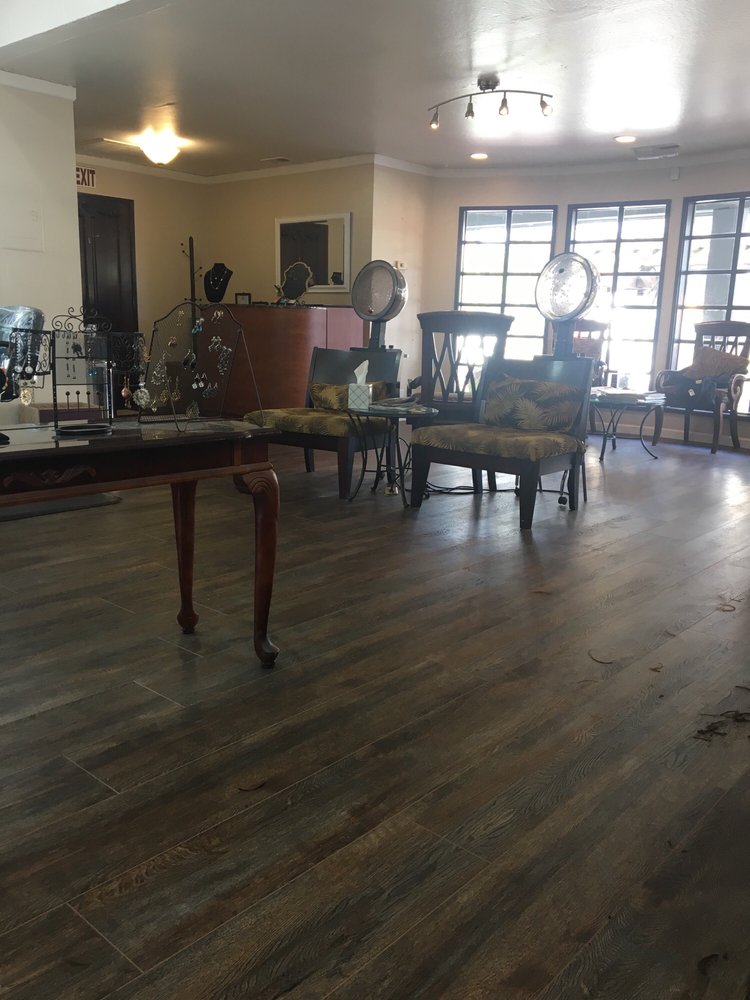 Safari Salon