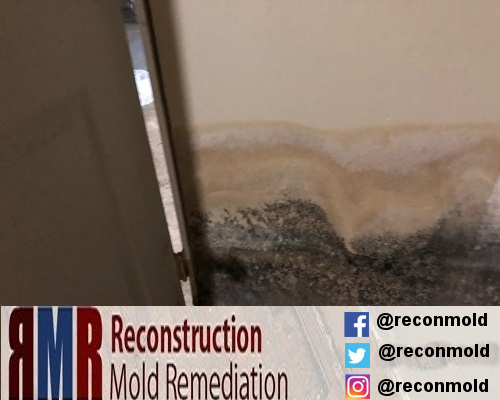 Reconstruction Mold Remediation