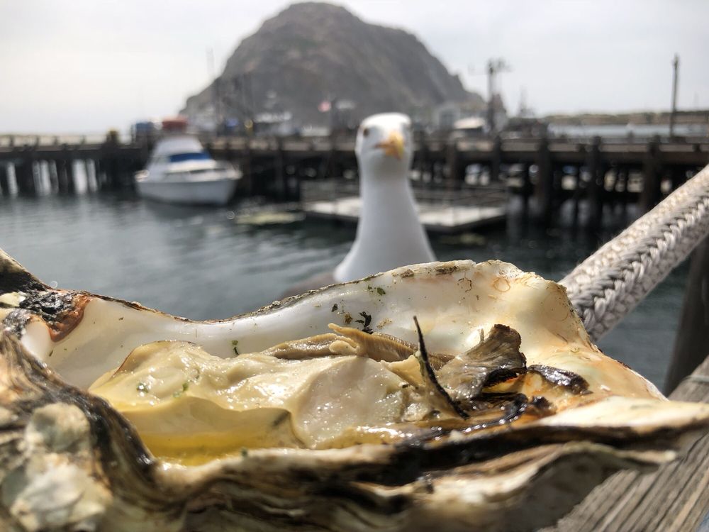 Tognazzini's Dockside Too