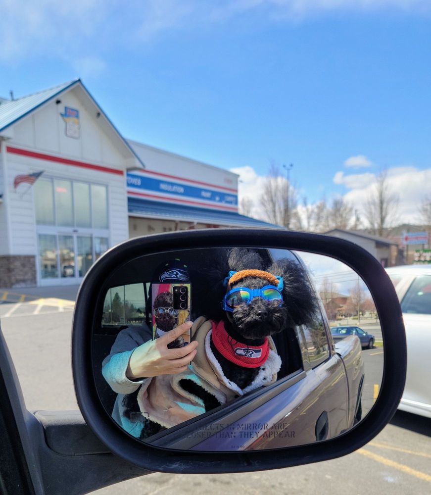 Ziggy's Home Improvement