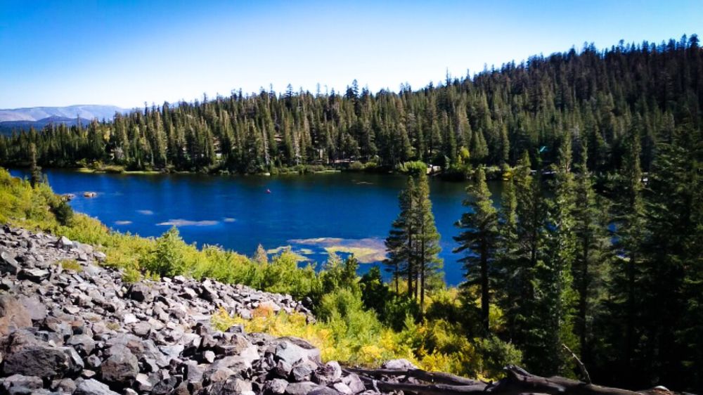 Twin Lakes 70 Photos & 21 Reviews Fishing Twin Lakes Rd. & Lake