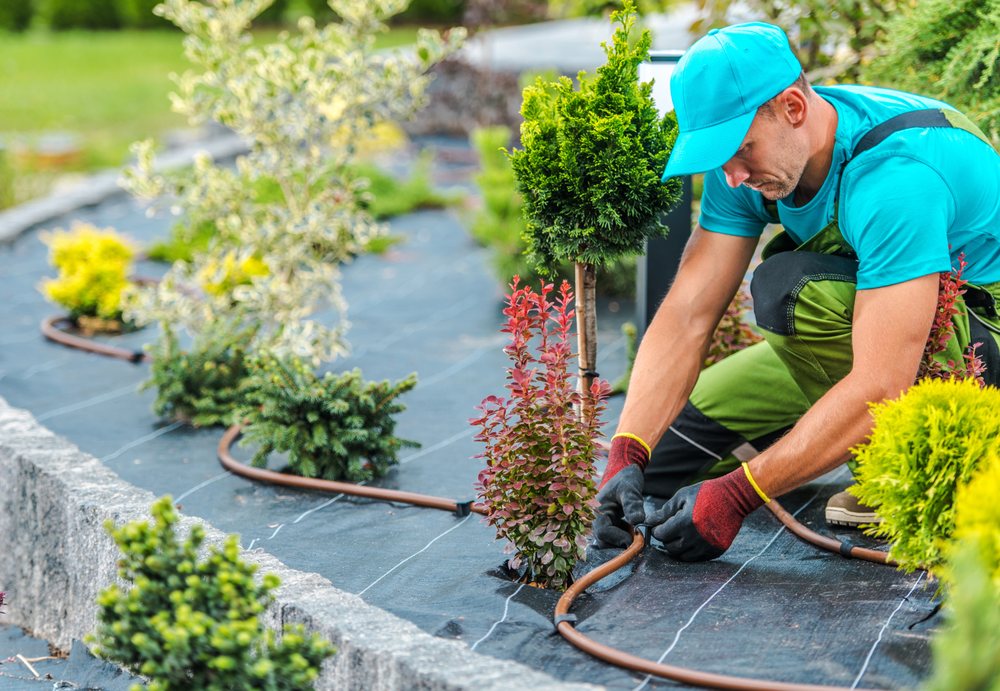 Hodges Irrigation