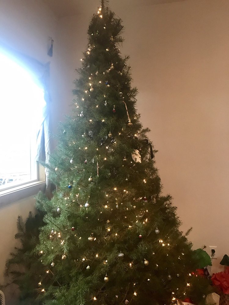 Smalls Northwest Evergreens