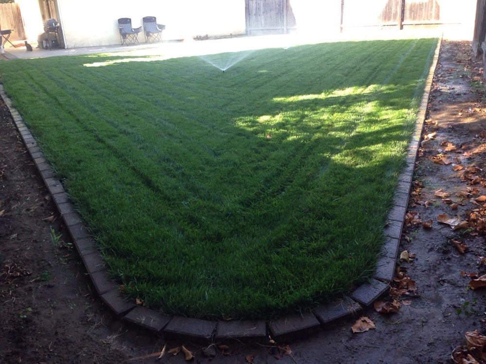 West Turf 13 Photos Landscaping 1612 Claus Rd Modesto Ca West Turf 13 Photos Landscaping 1612 Claus Rd Modesto Ca Phone Number Yelp
