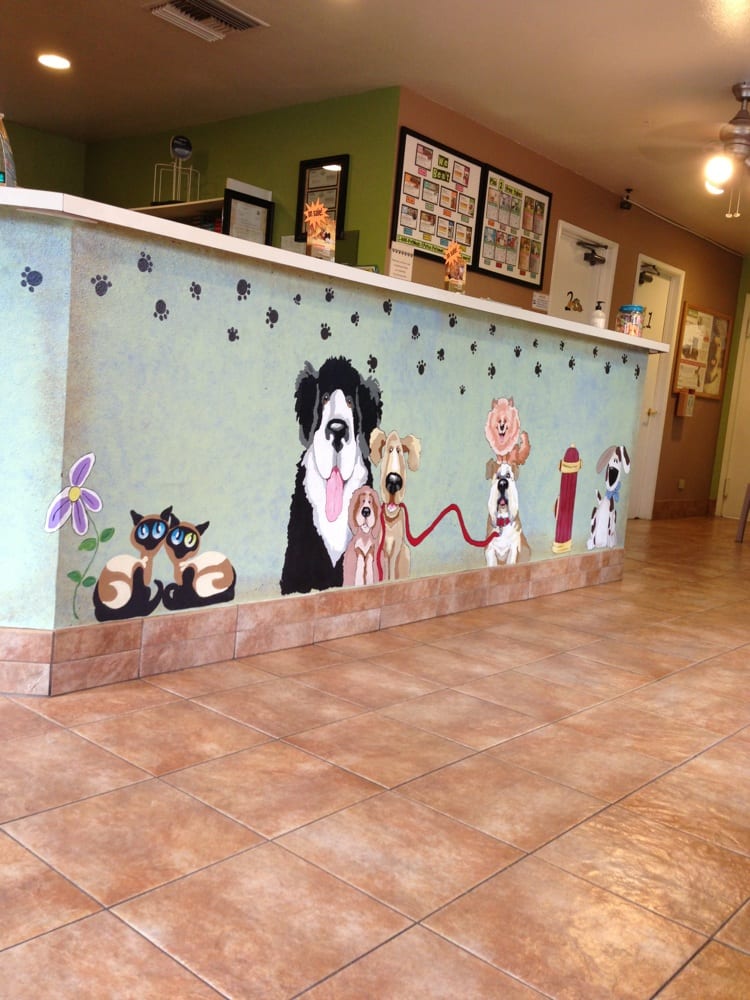 Mast Blvd Pet Hospital 16 Photos & 69 Reviews Veterinarians 9740