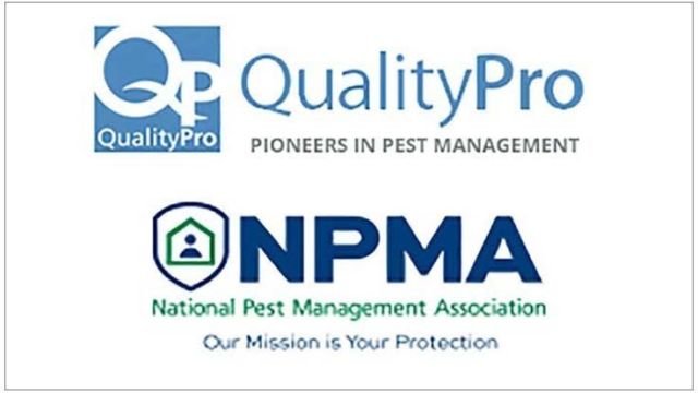 Canex Pest Control