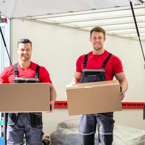Adonis Moving & Storage