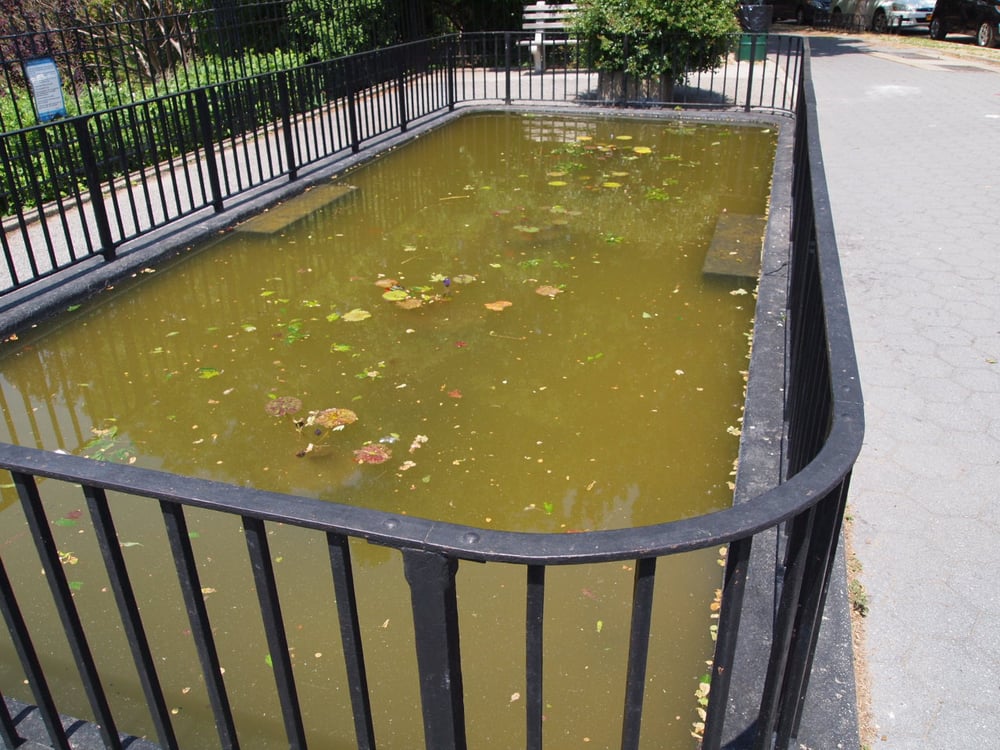 Narrows Botanical Garden 47 Photos Botanical Gardens 7001 Shore