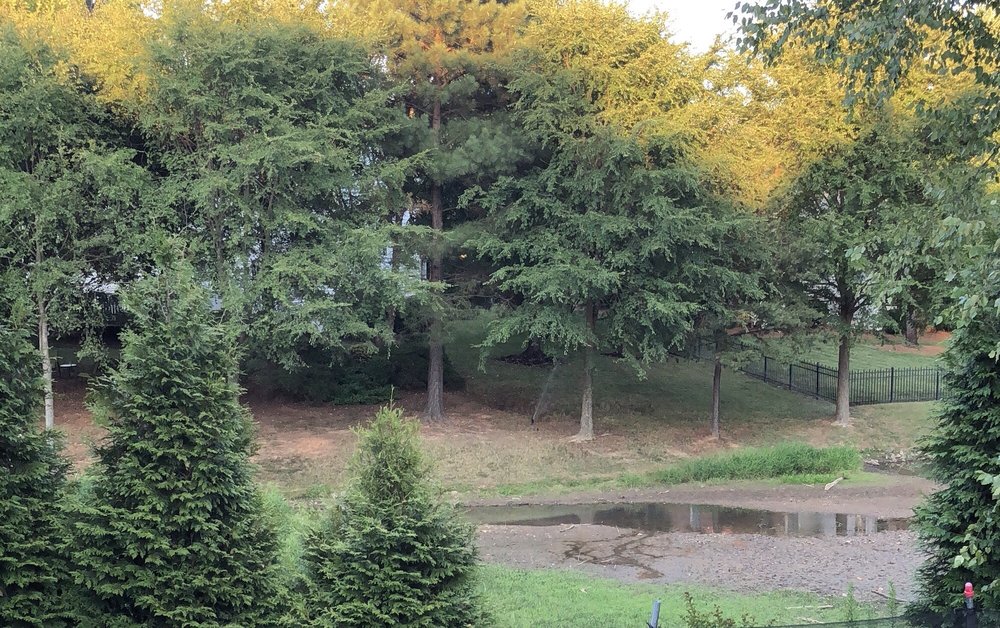 NorthStone Country Club 33 Photos Country Clubs 15801 Northstone