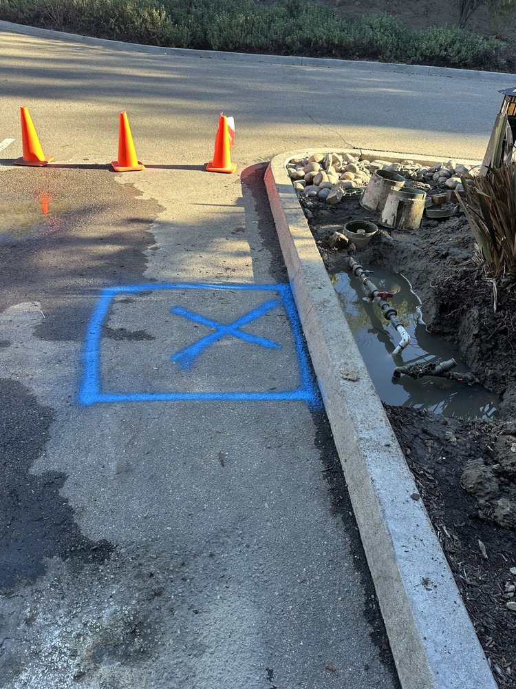 Acculine Leak Detection