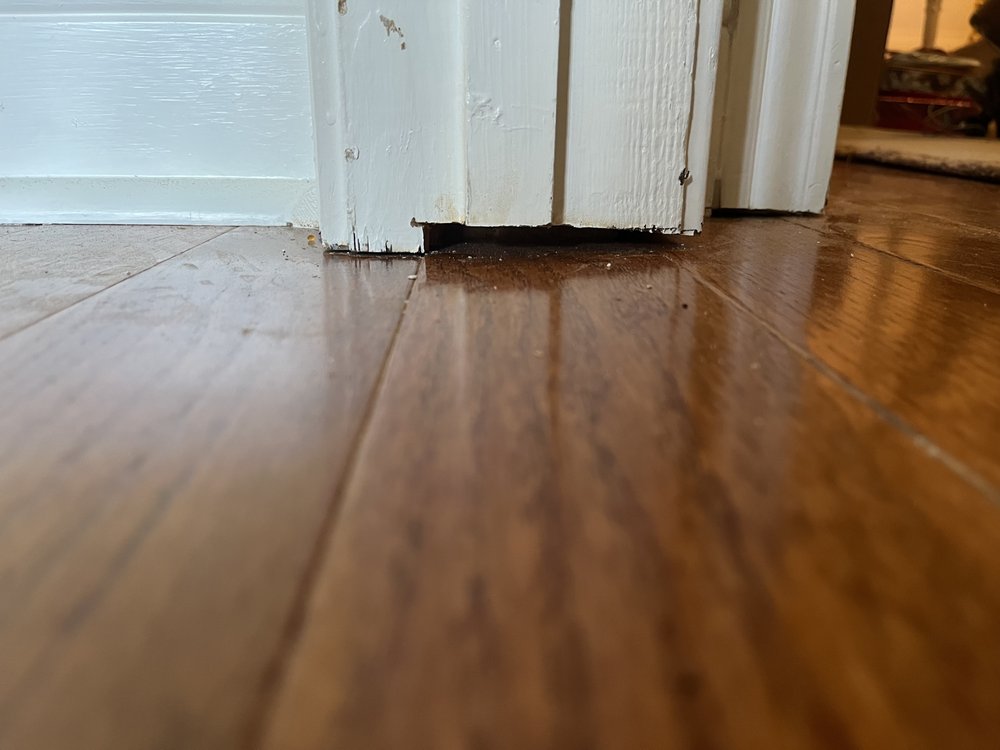 image of business Melissas Renovation