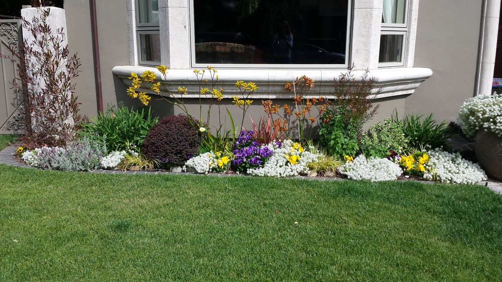 A Successful Drought Tolerant Front Yard Design Yelp Photo Of Mountain Creations Los Gatos Ca United States A Successful Drought