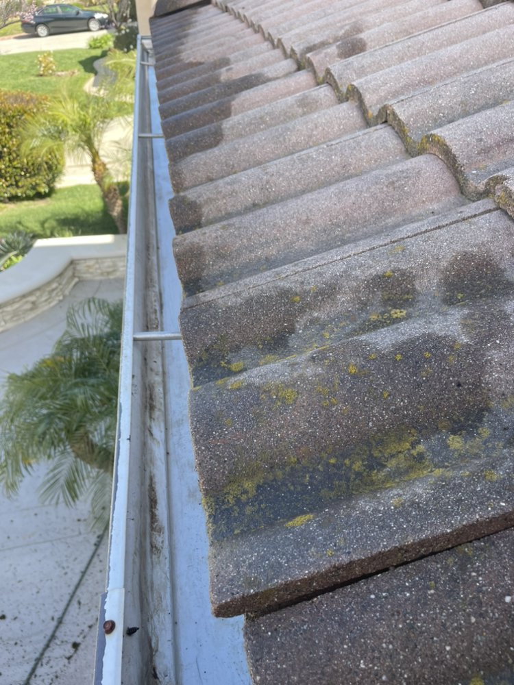Gutter Minded
