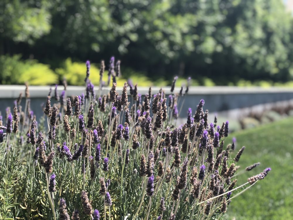 Galloway Landscape & Design