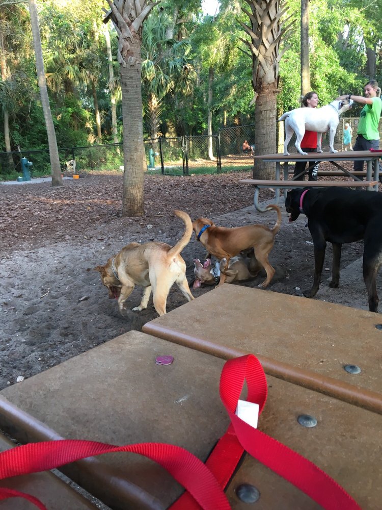 Seamore Memorial Dog Park Dog Parks 5959 Spruce Creek Rd, Port