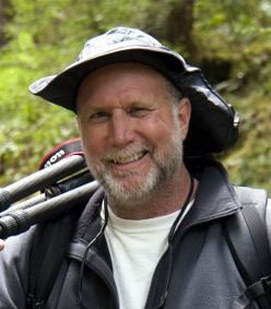 image of business Paul R Stanovick, DDS