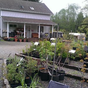 Woodbrook Nursery Nurseries Gardening 5919 78th Ave Woodbrook Nursery Nurseries Gardening 5919 78th Ave