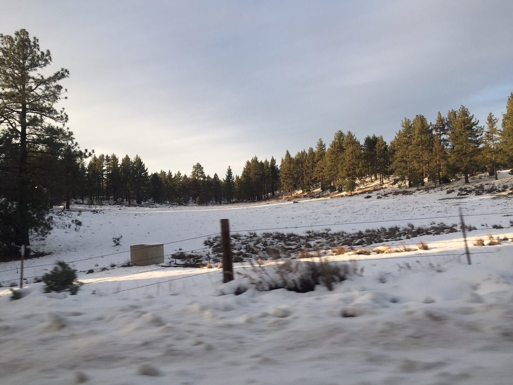 Mount Laguna Campground 121 Photos & 55 Reviews Campgrounds 10678