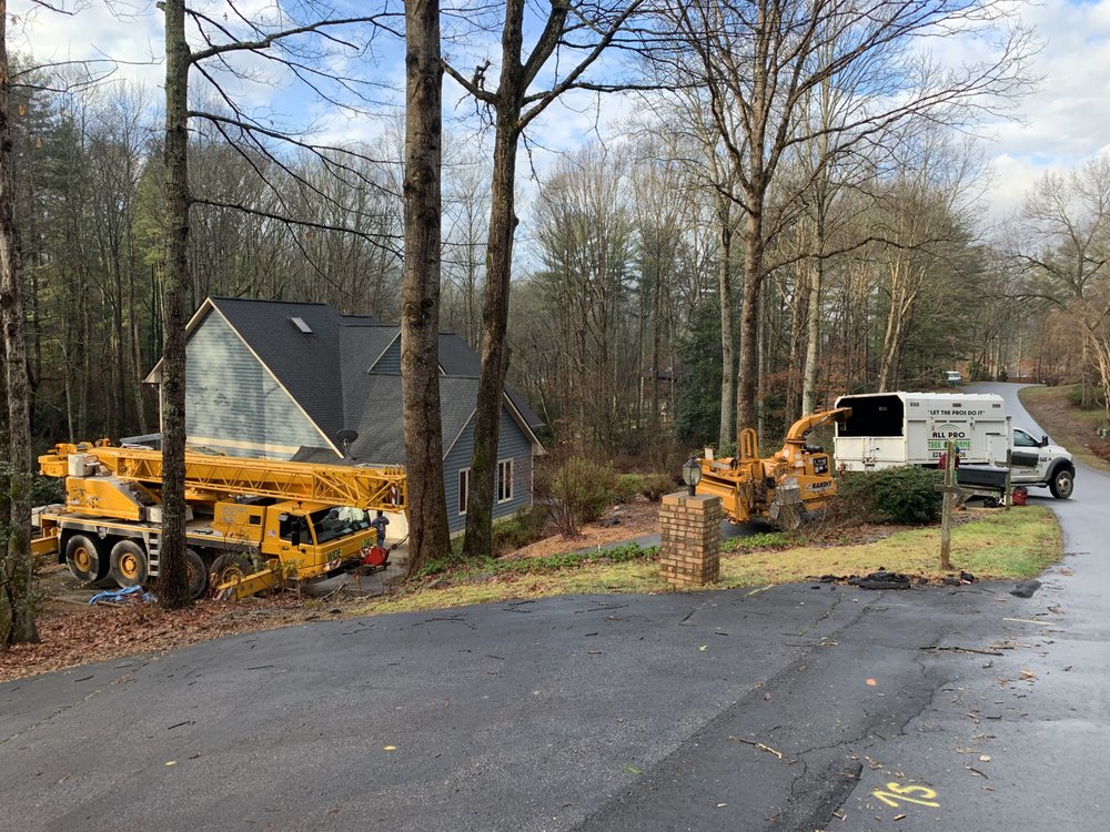 All Pro Tree & Crane