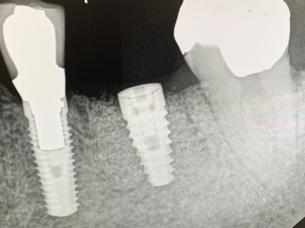 image of business Barranca Dental Excellence