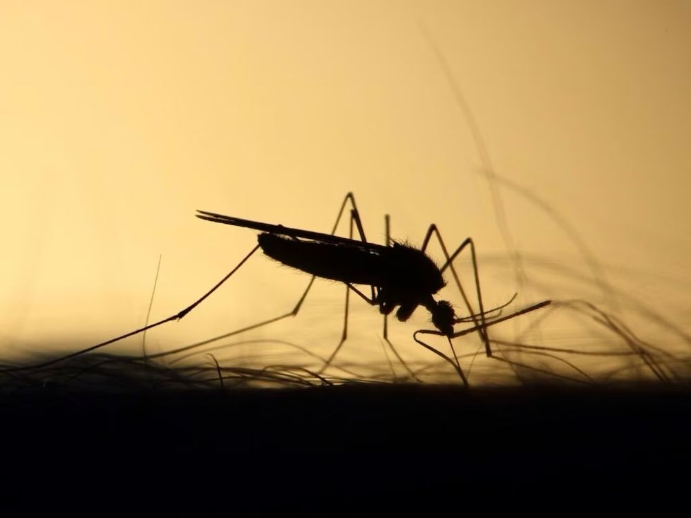 Hometown Pest Control