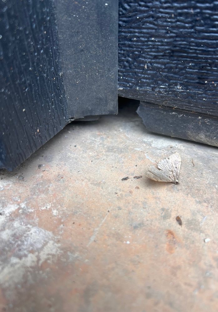 Overhead Door Company Of Raleigh