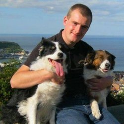 Barking Mad Dog Training Scarborough Barking Mad Dog Training Scarborough