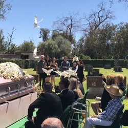 Gomez White Dove Release 10 Photos Funeral Services Cemeteries Photo Of Gomez White Dove Release Los Angeles Ca United States
