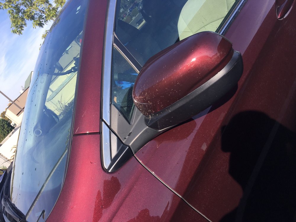 Blue Dolphin Car Wash