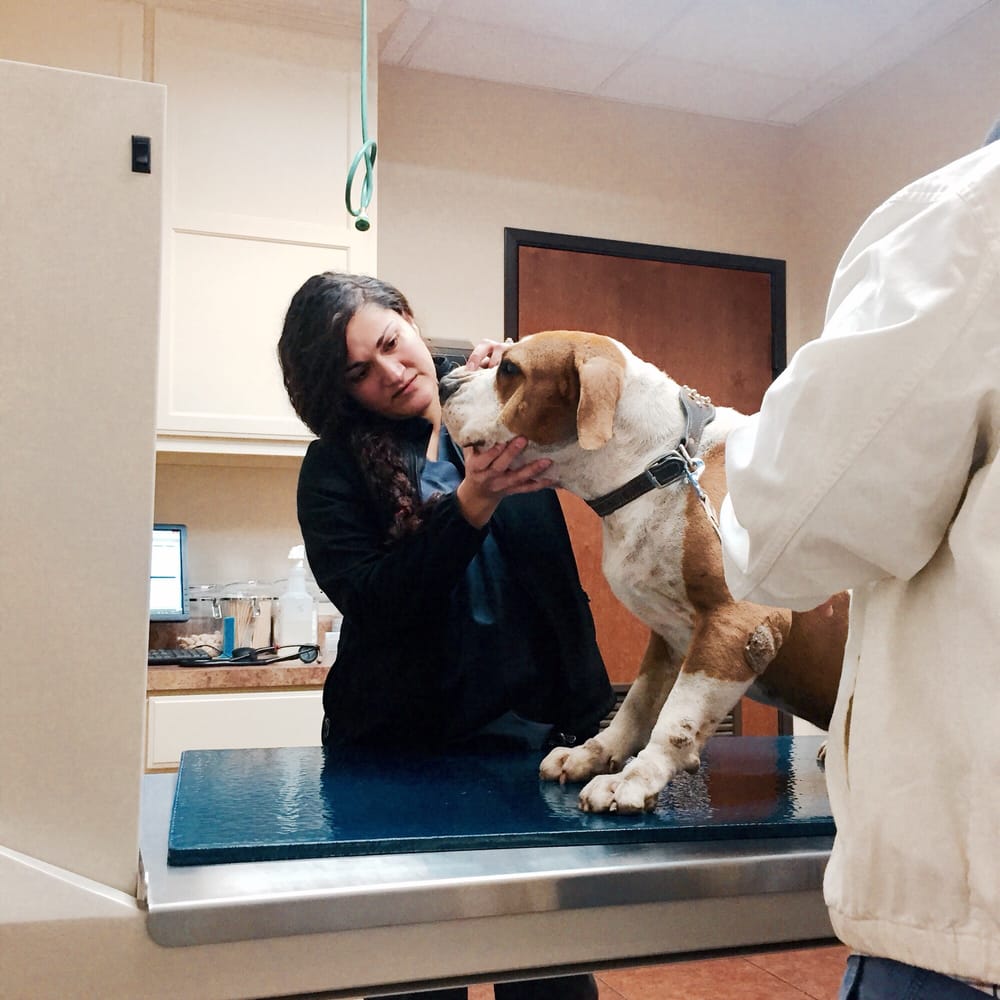 Hillside Veterinary Clinic 81 Photos & 271 Reviews Veterinarians