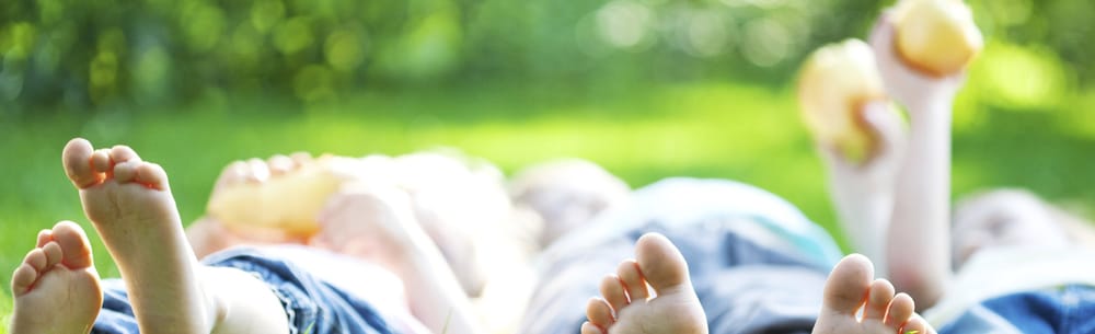 Triangle Pest Control