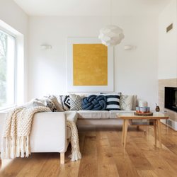 Akels Carpet One Floor & Home gift card